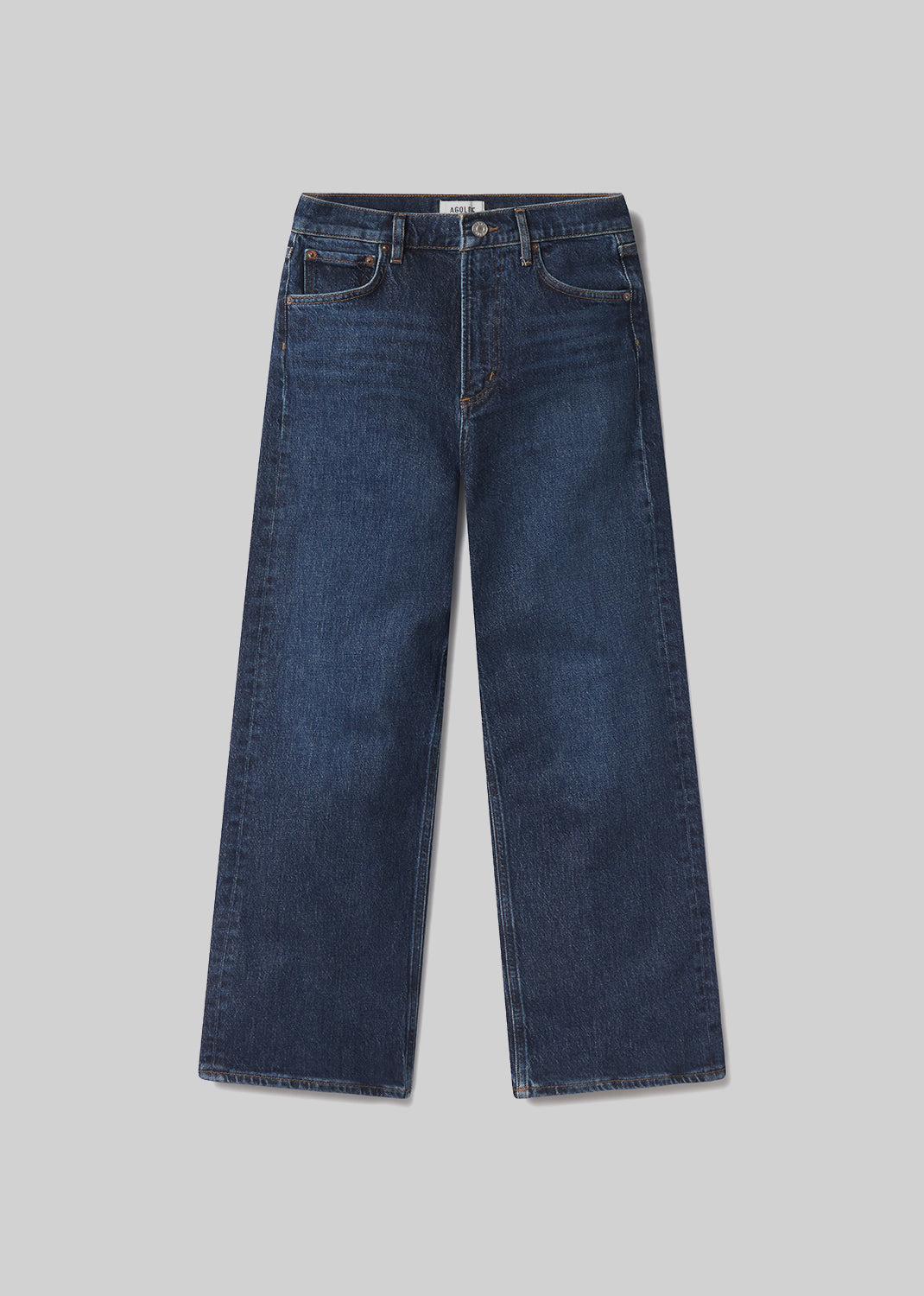 Women Ren Jean (Comfort Stretch) in Echo - Agolde