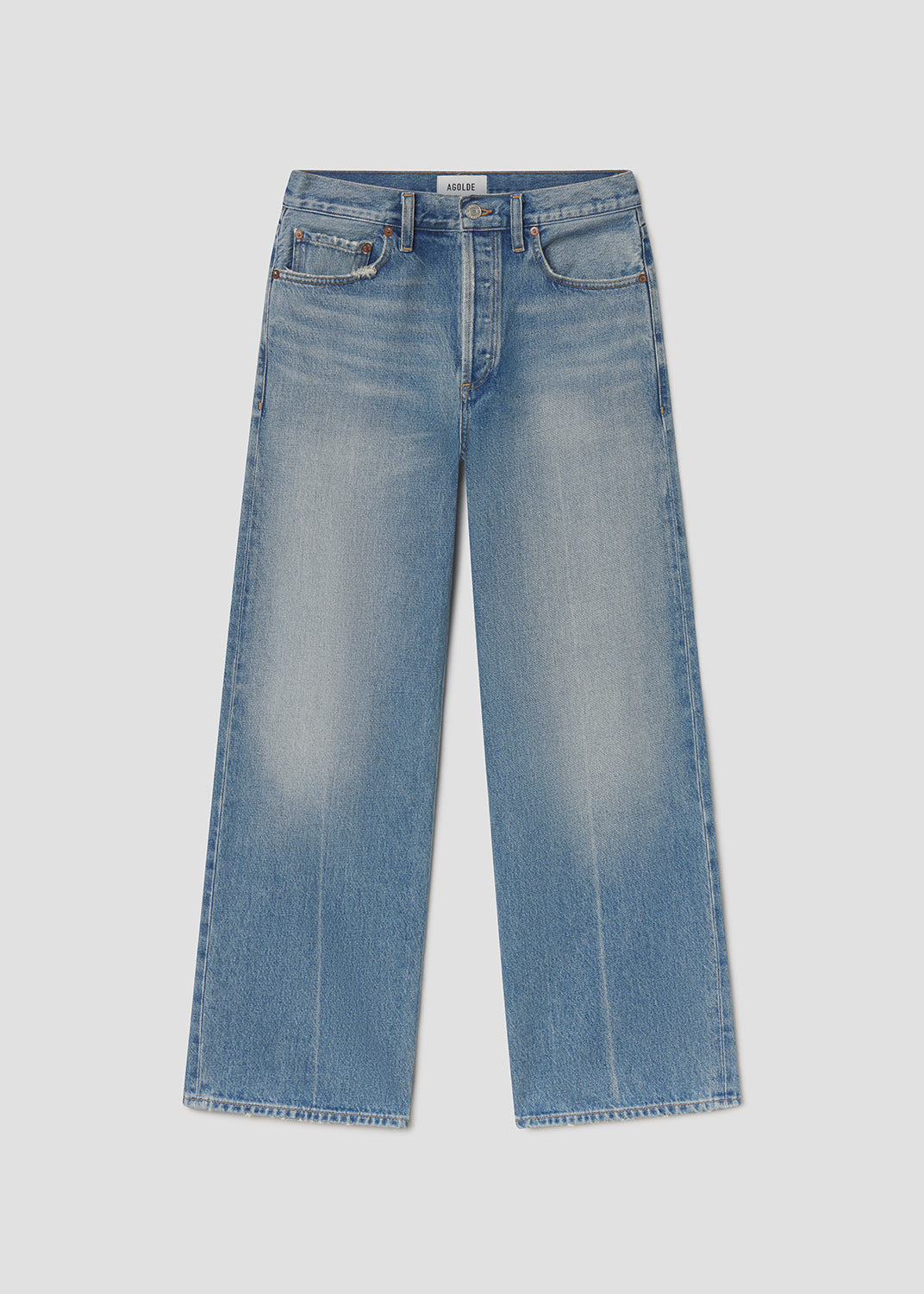 Women Arc Jean Loose Wide 29 in Brink - Agolde