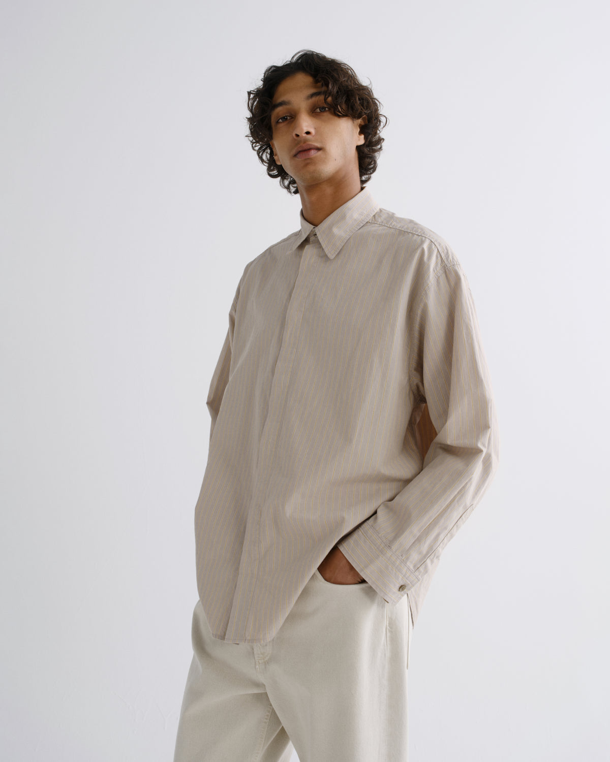 Men Roy Shirt in Beaudry Stripe - Agolde
