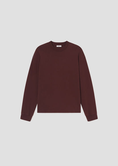 Men Asha Long Sleeve Mock Neck Tee in Bitter Root - Agolde