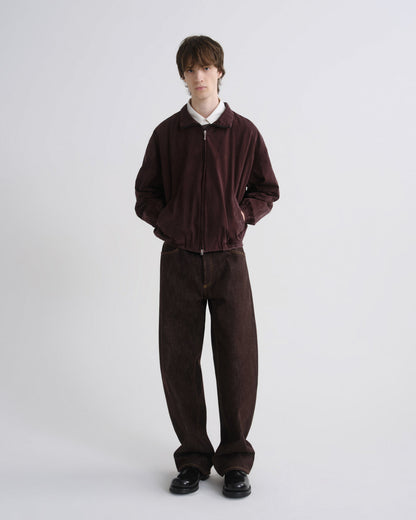 Men Marshall Windbreaker in Creased Puce - Agolde