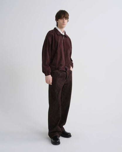 Men Marshall Windbreaker in Creased Puce - Agolde