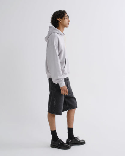 Men Skate Short in Paradox - Agolde