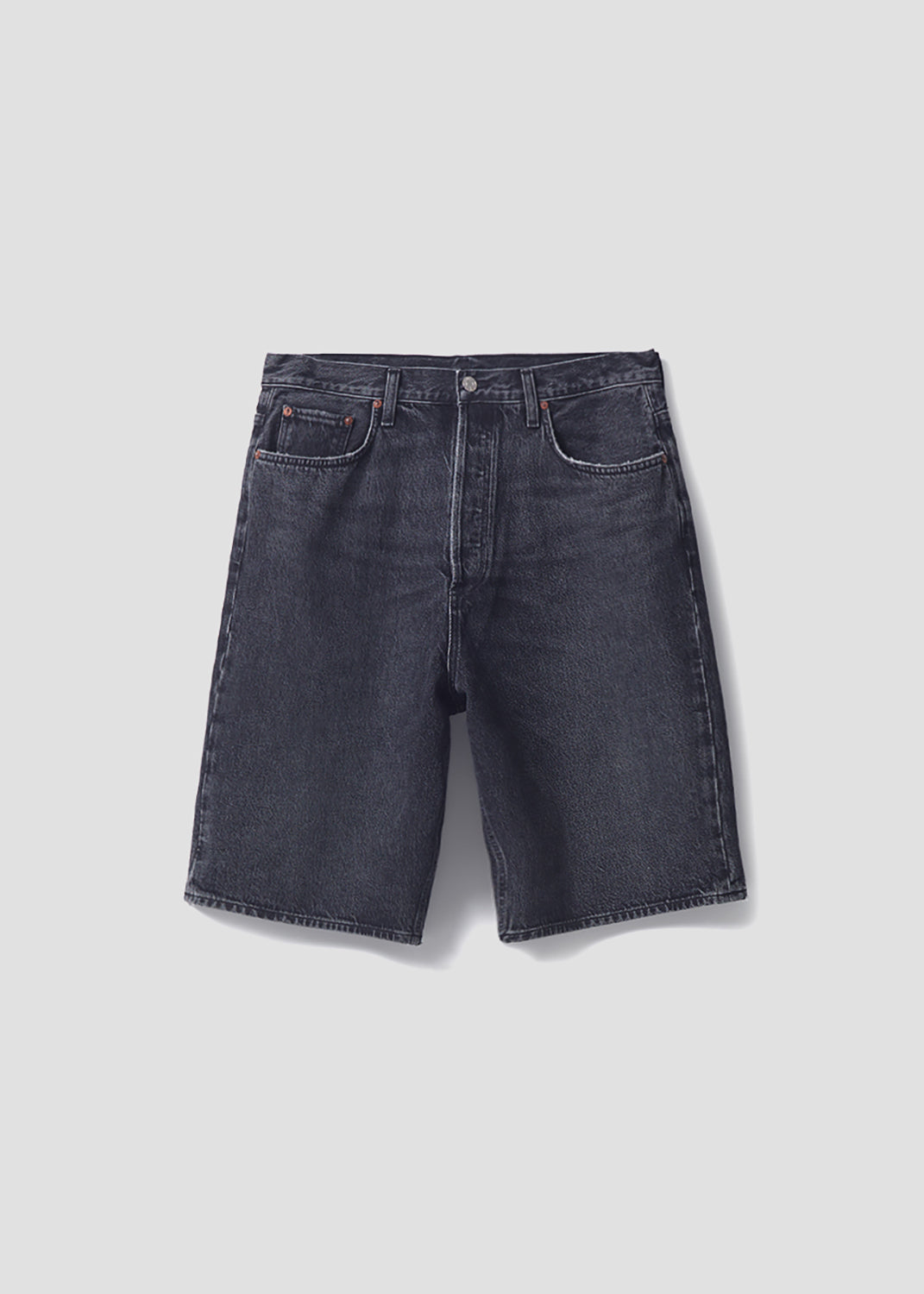 Men Skate Short in Paradox - Agolde